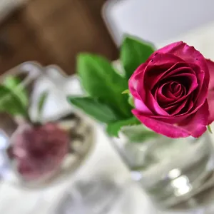  Bed & Breakfast Aleksandr Italien