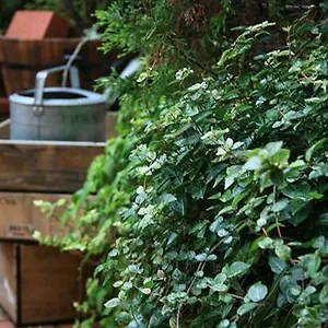 https://kyoto-garden-hotel.hotels-in-kyoto.org